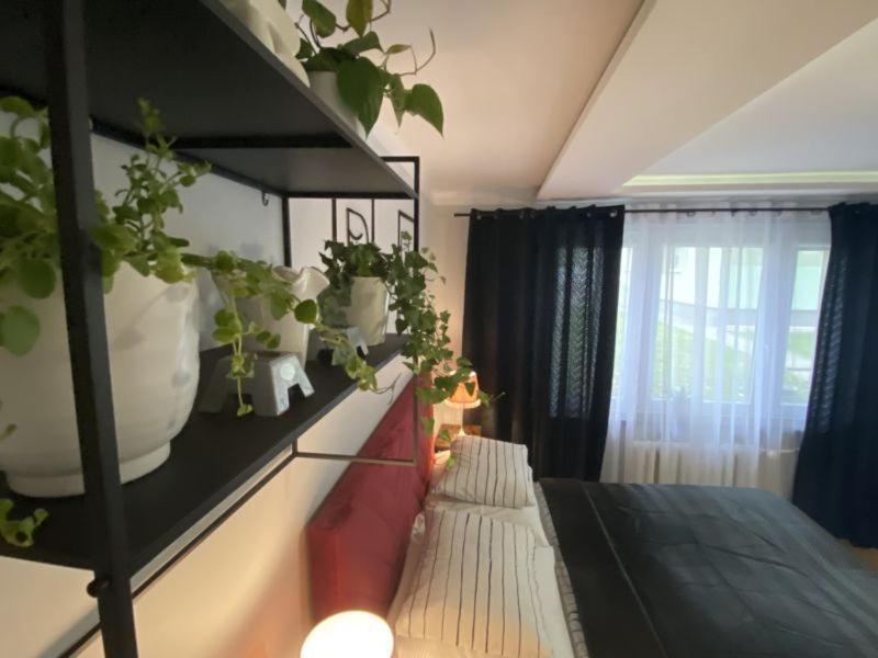Apartament ,, Sen I Kawa" - Komfortowy Nocleg W Sercu Aglomeracji บือตอม ภายนอก รูปภาพ